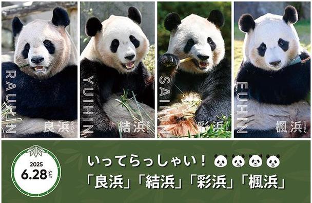 2025年5月27日 第9页
