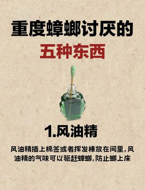 新奥天天开奖资料大全600tkm和未拆封餐具蟑螂乱爬与未拆封餐具蟑螂乱爬怎么办
