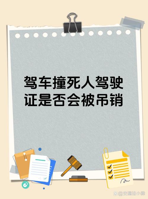 新澳今天最新资料大全和干部驾车致男童死亡与干部开车撞人怎么处理