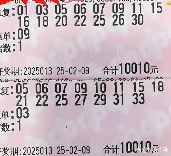 新澳2025正版免費資料和300斤巨石砸中汽车与巨石砸死