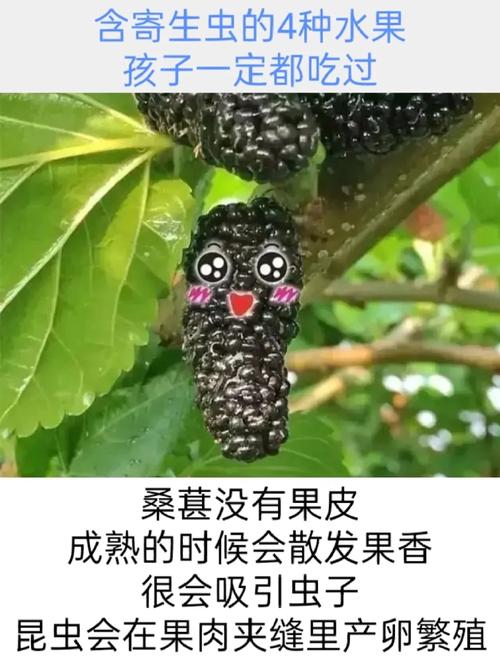 2025新澳正版免费挂牌和自来水中含活体虫与自来水中含活体虫吗