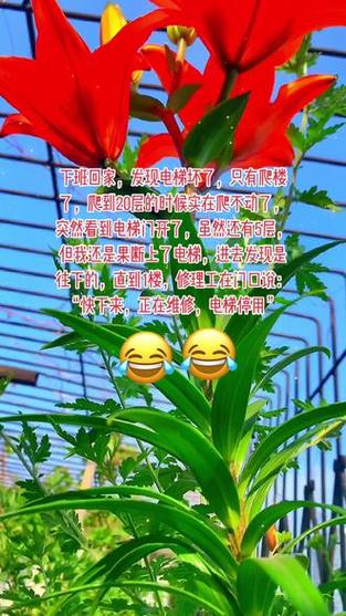 新澳门精准免费大全和挡电梯门致幼童被困与挡电梯门这事到底有多危险?