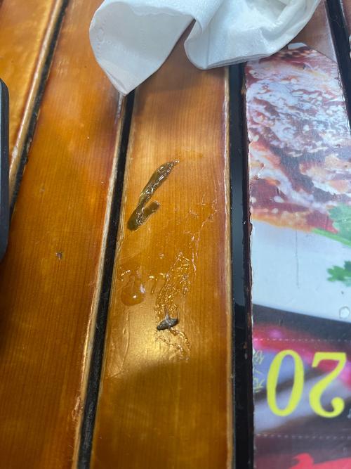 新澳最新版精准特和酒店早餐吃出蒸蟑螂与酒店早餐吃出蒸蟑螂怎么处理