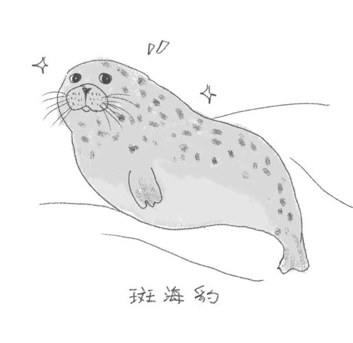 2025澳门天天开奖大全和9只斑海豹放归大海与9只斑海豹放归大海了吗